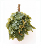 Веник дубовый с шалфеем в упаковке